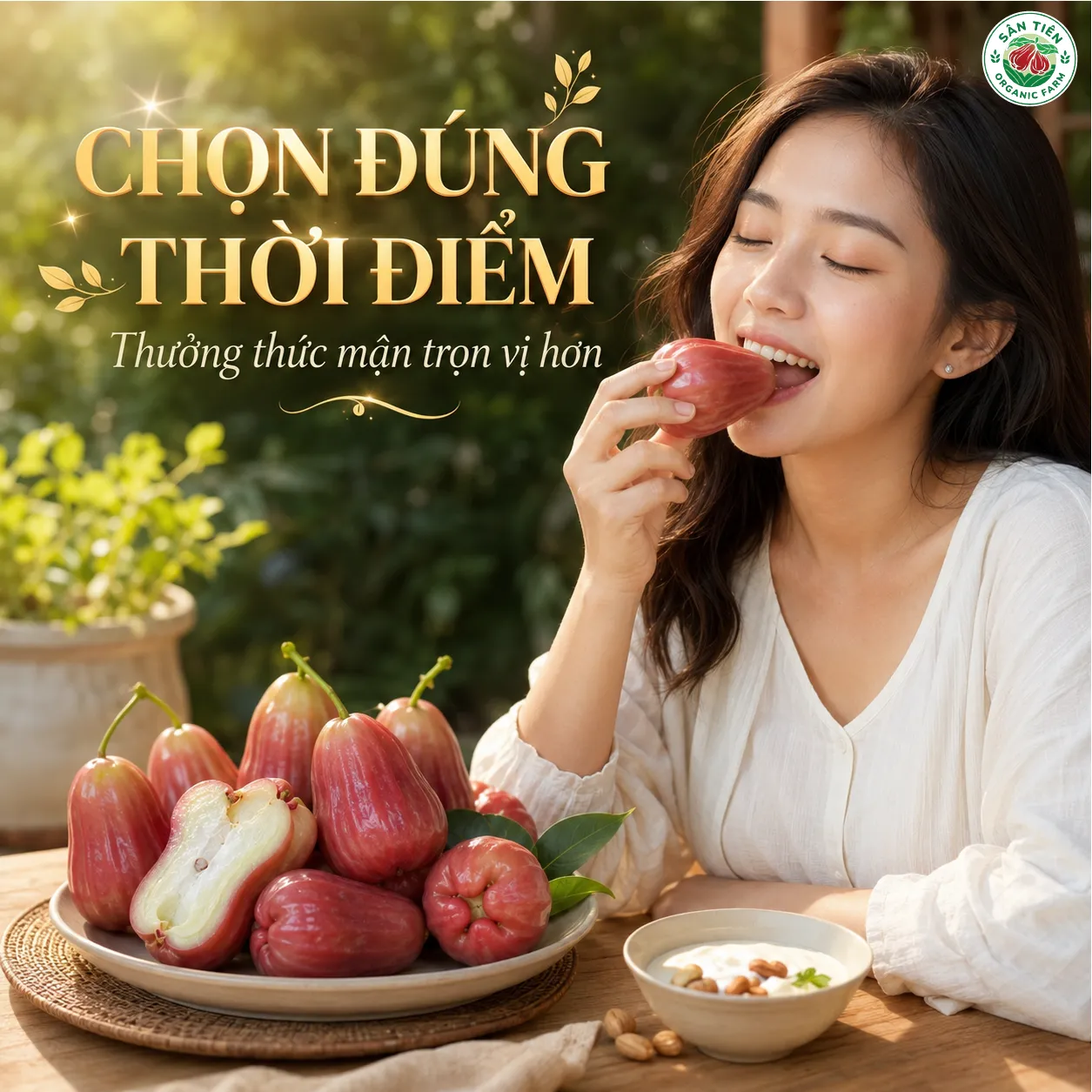 Ăn mận sau bữa chính, dùng lượng vừa đủ và kết hợp thực phẩm phù hợp giúp cơ thể dễ chịu Ăn mận sau bữa chính, dùng lượng vừa đủ và kết hợp thực phẩm phù hợp giúp cơ thể dễ chịu