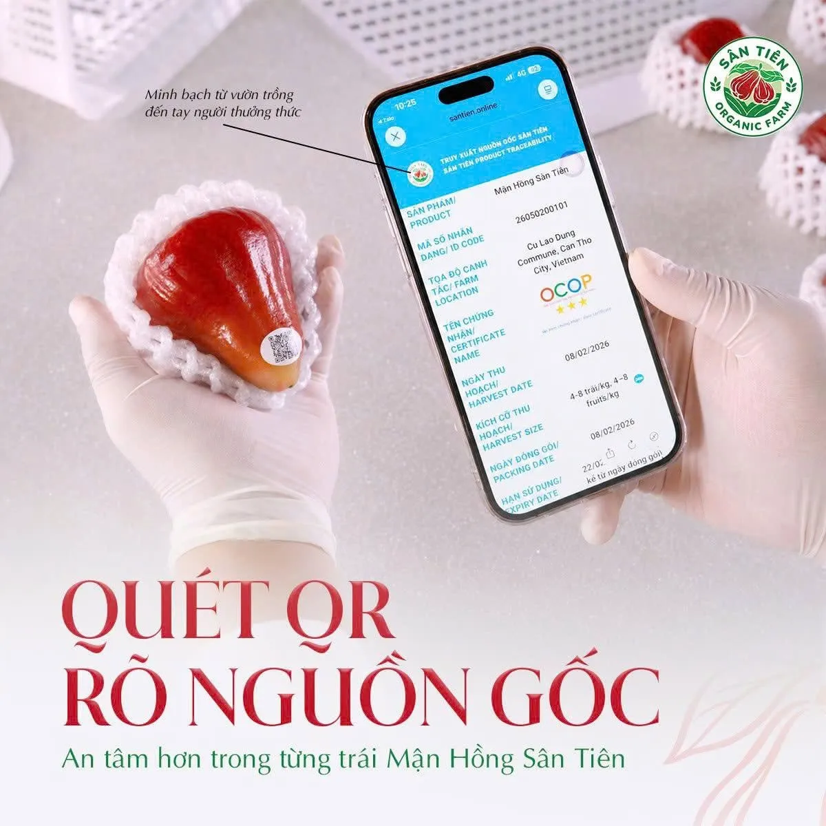 Hệ thống số hóa và mã QR giúp khách hàng chủ động kiểm chứng hành trình của từng trái mận Hệ thống số hóa và mã QR giúp khách hàng chủ động kiểm chứng hành trình của từng trái mận