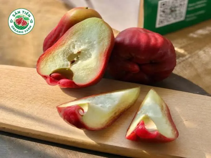 Mận hồng Sân Tiên giòn ngọt, mọng nước, vị cân bằng không gắt và tạo cảm giác sạch miệng khi ăn. Mận hồng Sân Tiên giòn ngọt, mọng nước, vị cân bằng không gắt và tạo cảm giác sạch miệng khi ăn.