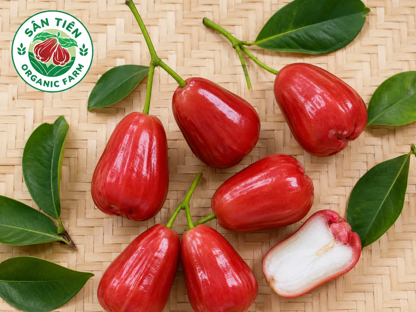 Đất trồng mận hồng nên là đất thịt nhẹ hoặc pha cát, thoát nước nhanh nhưng vẫn giữ ẩm vừa phải