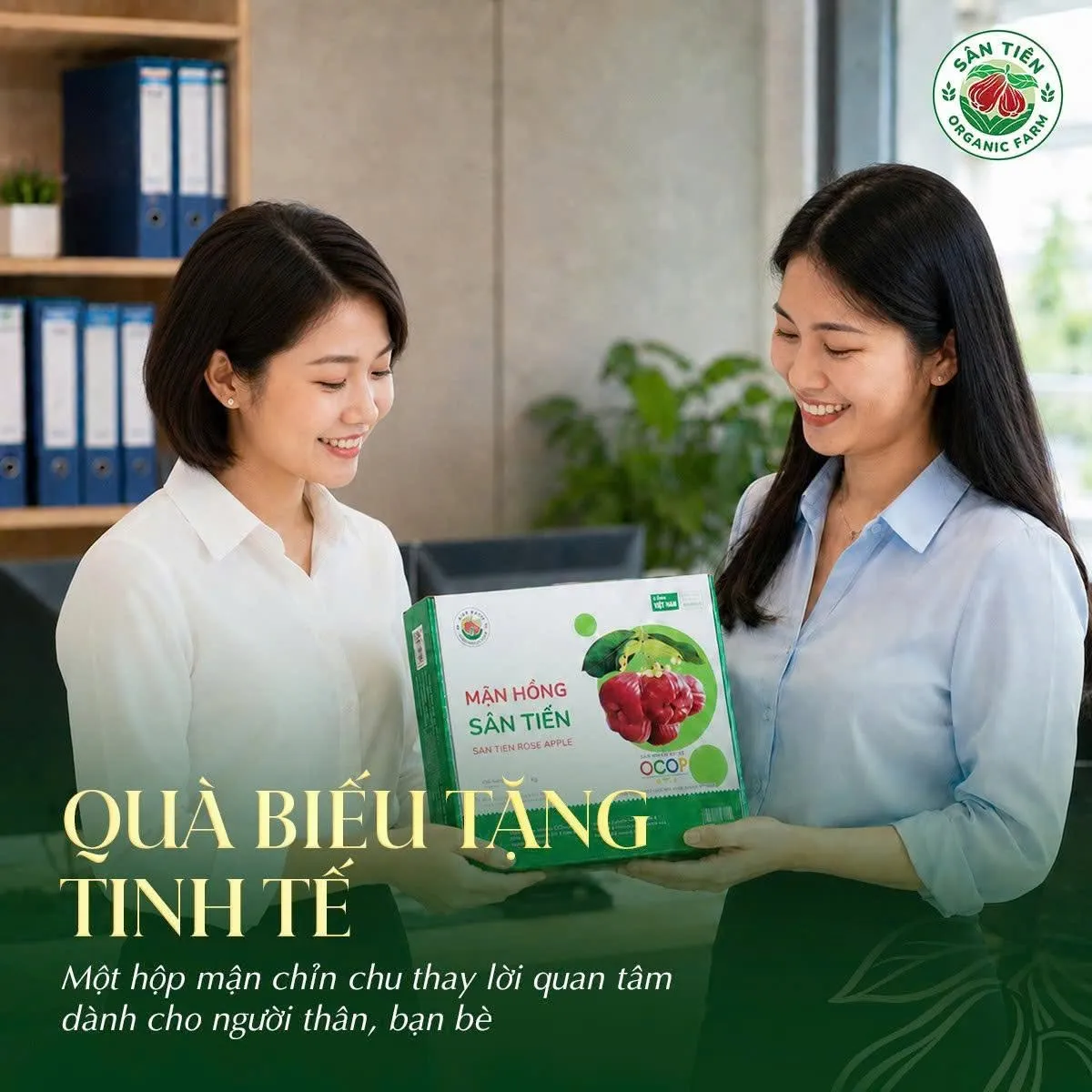 Những hộp mận tươi được tuyển chọn cẩn thận mang đến lựa chọn thiết thực cho thưởng thức và biếu tặng
