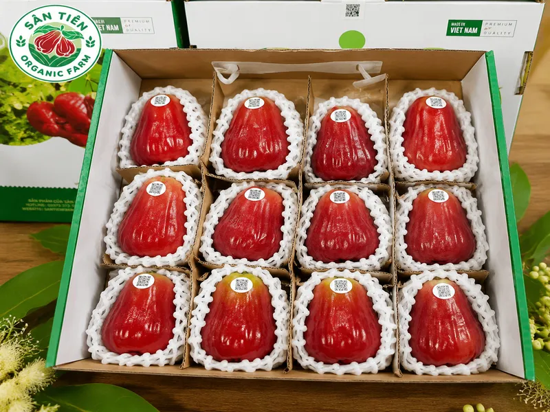 Xếp mận nhẹ tay, bảo quản hộp có lót giấy trong ngăn mát tủ lạnh giúp giữ độ giòn và tránh mất nước.