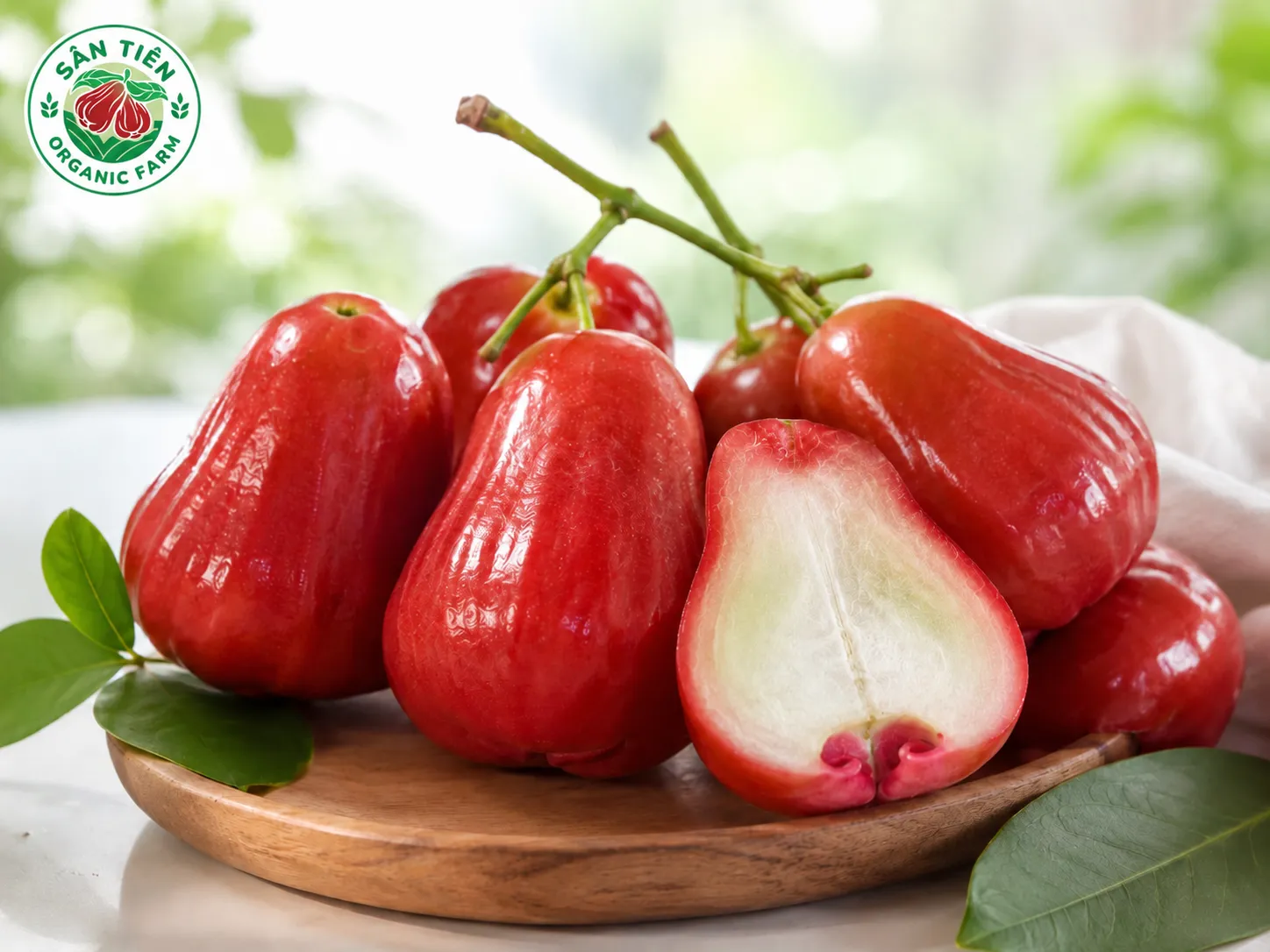 mận hồng Sân Tiên trái cây OCOP cao cấp mận hồng Sân Tiên trái cây OCOP cao cấp