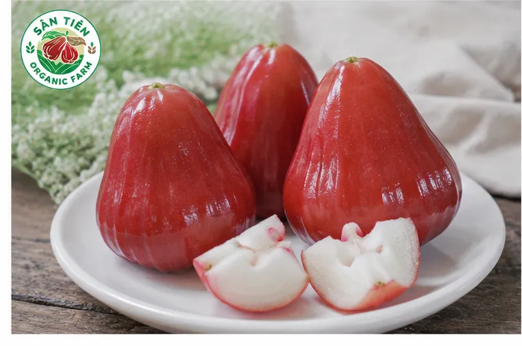 Cân bằng giữa nước, vitamin, khoáng và polyphenol và chất chống oxy hóa trong mận