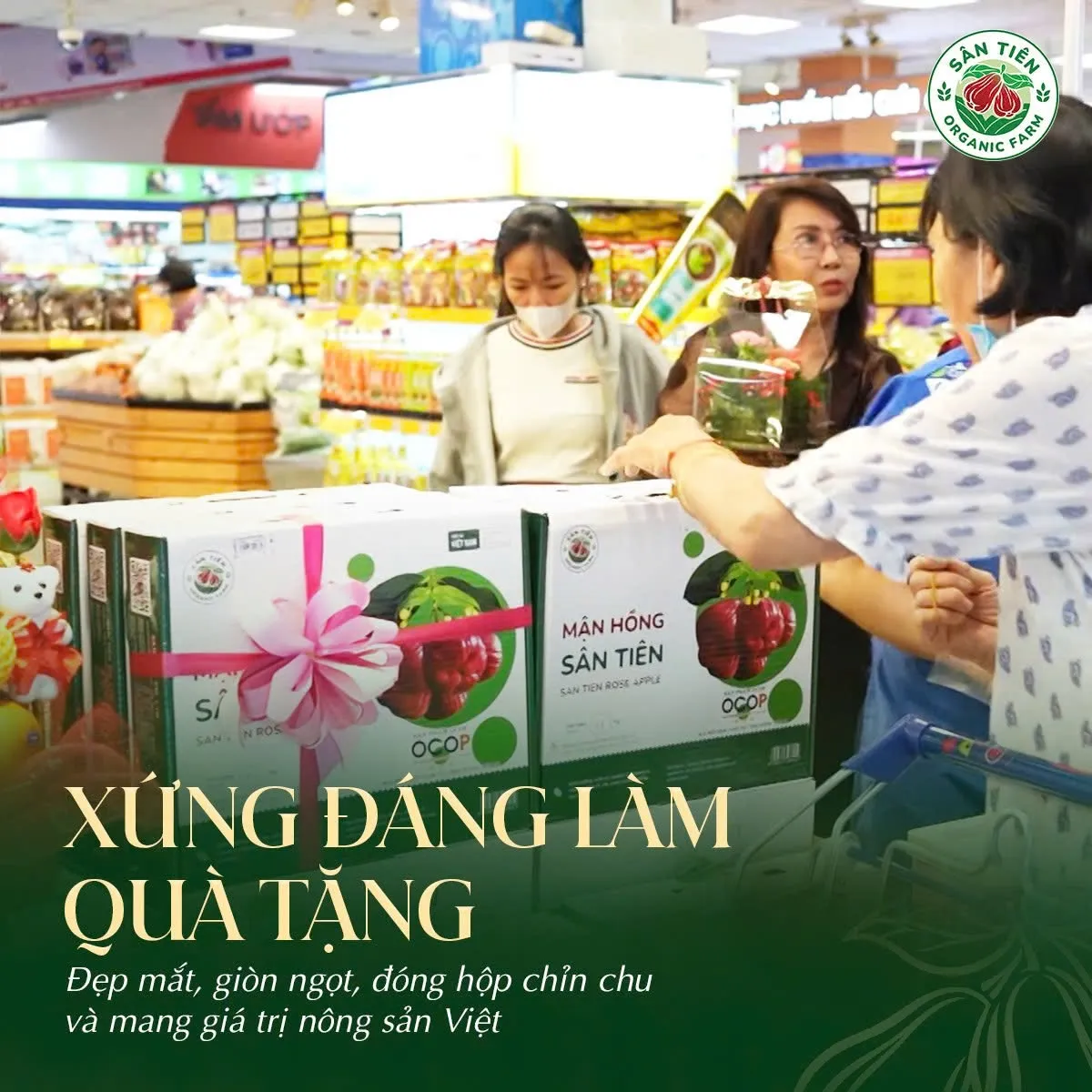 Từng hộp mận không chỉ gói trọn thức quả tươi ngon, chỉn chu, mà còn mang theo niềm tự hào về nông sản Việt
