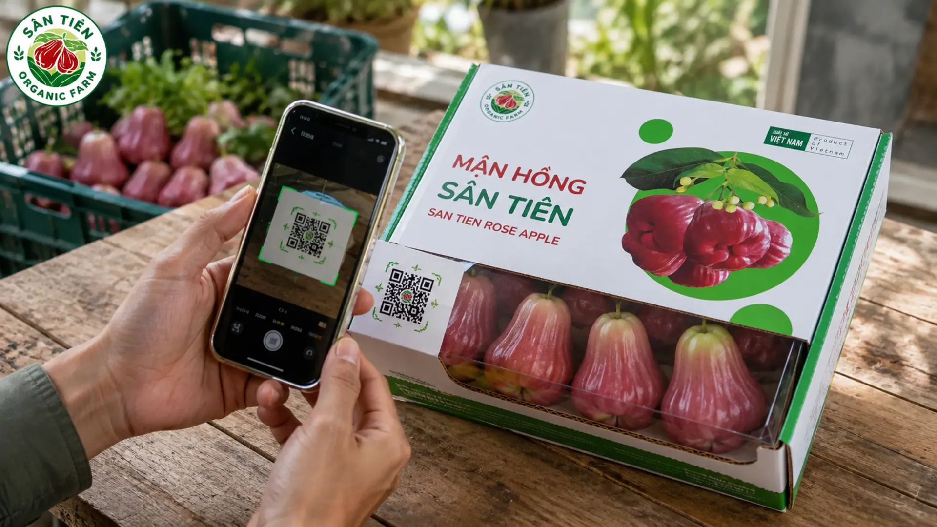 Mận hữu cơ VietGAP truy xuất QR tạo niềm tin nhờ minh bạch nguồn gốc, chất lượng và giá trị câu chuyện nông sản.