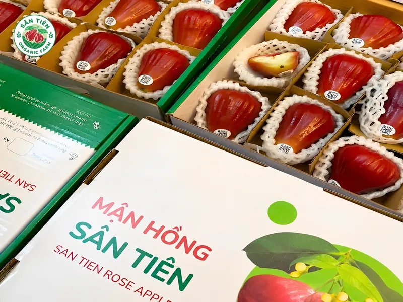 Mận hồng Sân Tiên phân size rõ theo nhu cầu, có QR code giúp người mua an tâm.