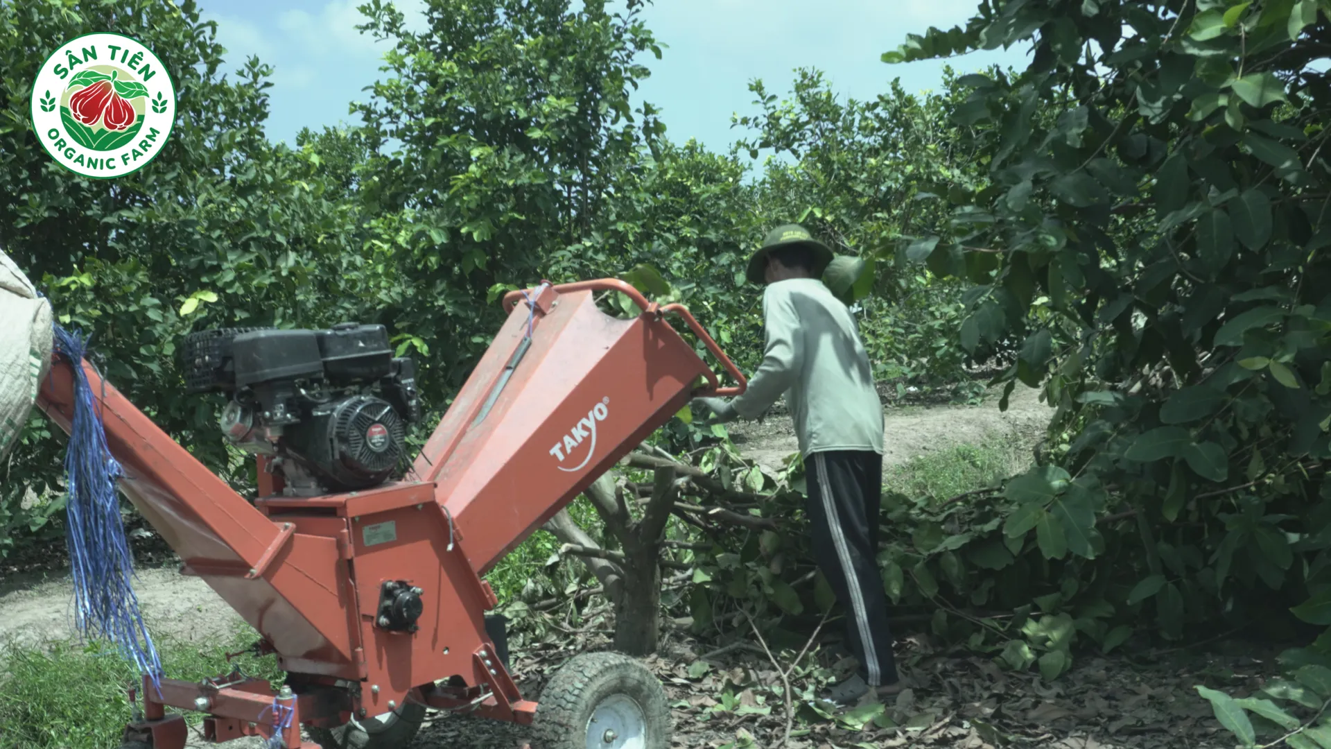 Số hóa nông nghiệp tử tế giúp giữ kỷ luật quy trình, đảm bảo minh bạch chất lượng và trải nghiệm cho khách hàng.