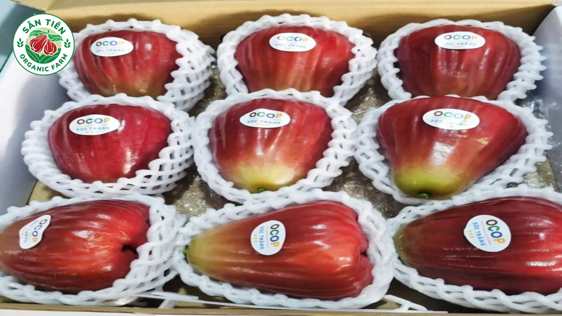 Nên chọn kênh bán nông sản minh bạch nguồn gốc, tiêu chuẩn và đổi trả rõ ràng để đảm bảo an tâm.