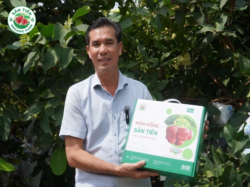 Mận Sân Tiên cao cấp, giòn ngọt, có VietGAP và minh bạch nguồn gốc rất được chuộng làm quà biếu giá trị.