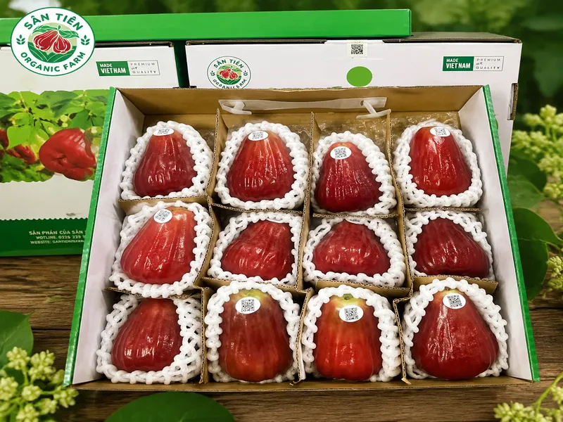 Mận hồng Sân Tiên giá trị nhờ chất lượng thật, nguồn gốc minh bạch và là món quà sức khỏe tử tế.