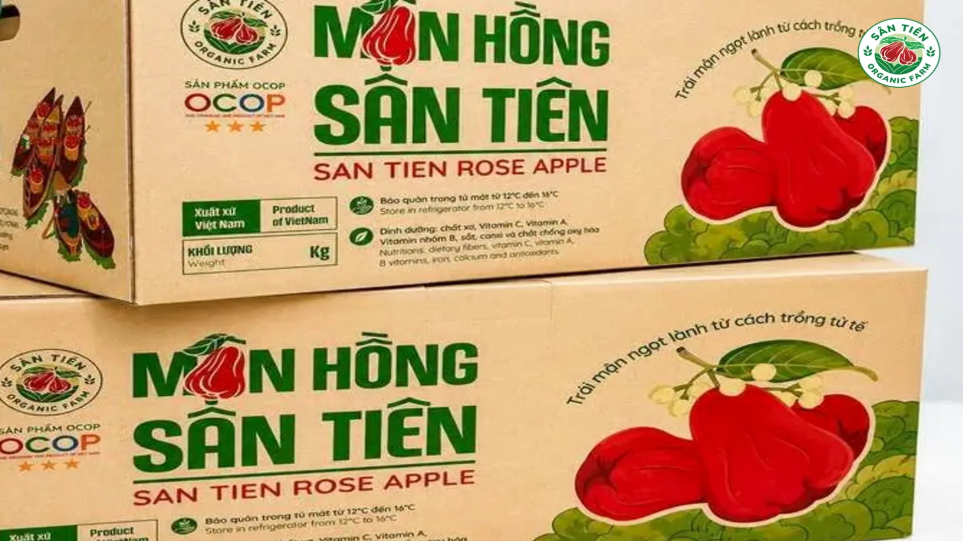 Ghi chép quá trình chăm sóc và theo dõi từng lô cây giúp nhà vườn điều chỉnh kỹ thuật phù hợp qua mỗi mùa vụ. Ghi chép quá trình chăm sóc và theo dõi từng lô cây giúp nhà vườn điều chỉnh kỹ thuật phù hợp qua mỗi mùa vụ.