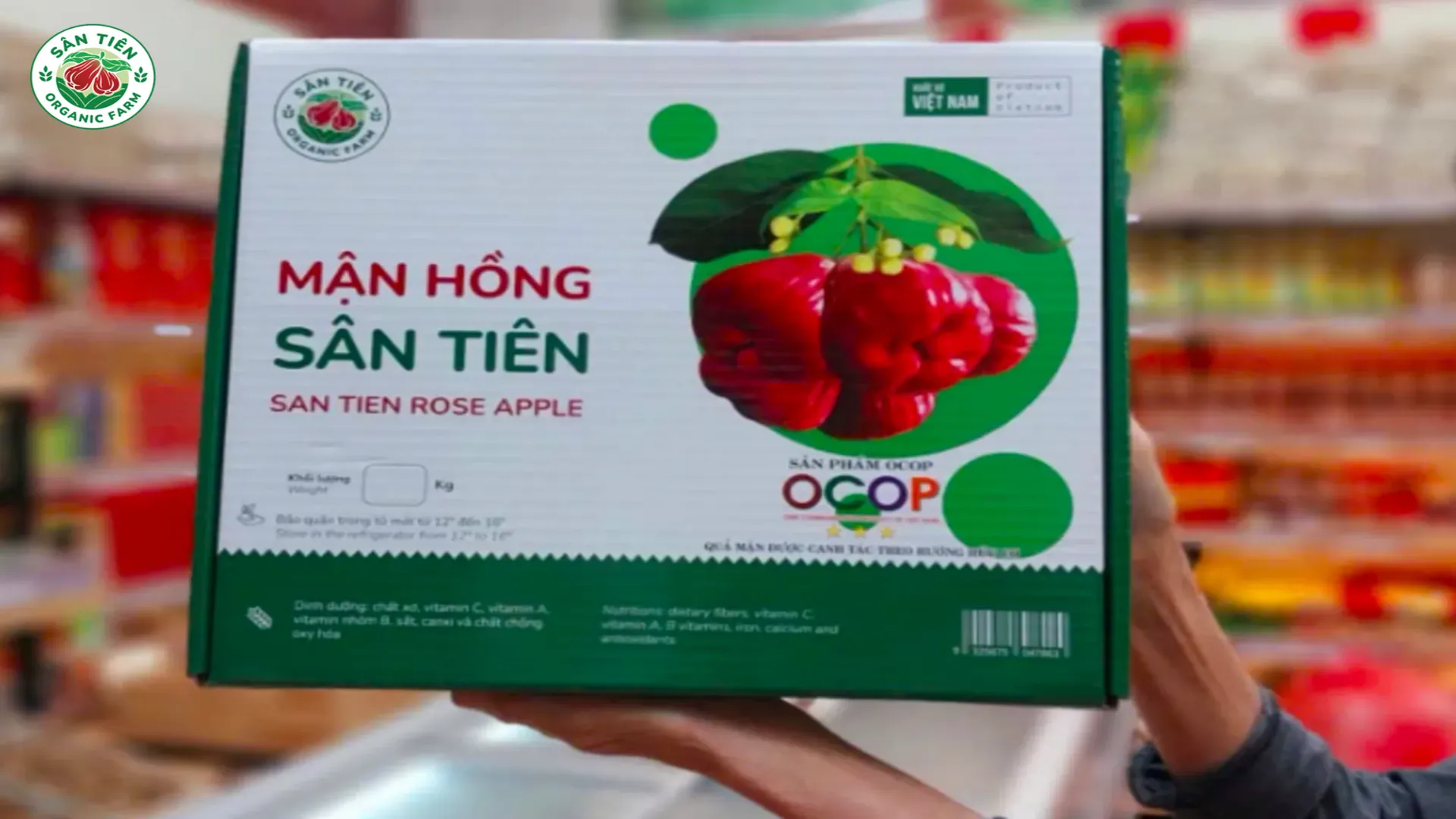- Hộp mận Sân Tiên chính hãng giúp bảo vệ sản phẩm và cung cấp thông tin nguồn gốc rõ ràng. - Hộp mận Sân Tiên chính hãng giúp bảo vệ sản phẩm và cung cấp thông tin nguồn gốc rõ ràng.