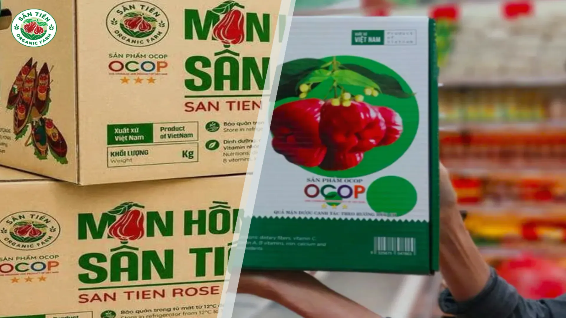 Bao bì và nhãn nguồn gốc là căn cứ quan trọng khi phân biệt mận Sân Tiên với sản phẩm được gọi là “mận Thái”.