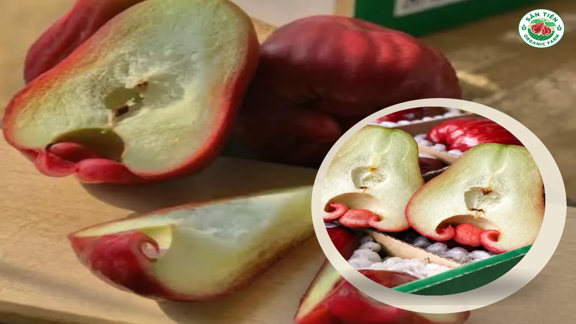 Quan sát màu vỏ, phần thịt và kết cấu quả giúp nhận biết đặc điểm thực tế của mận Sân Tiên.