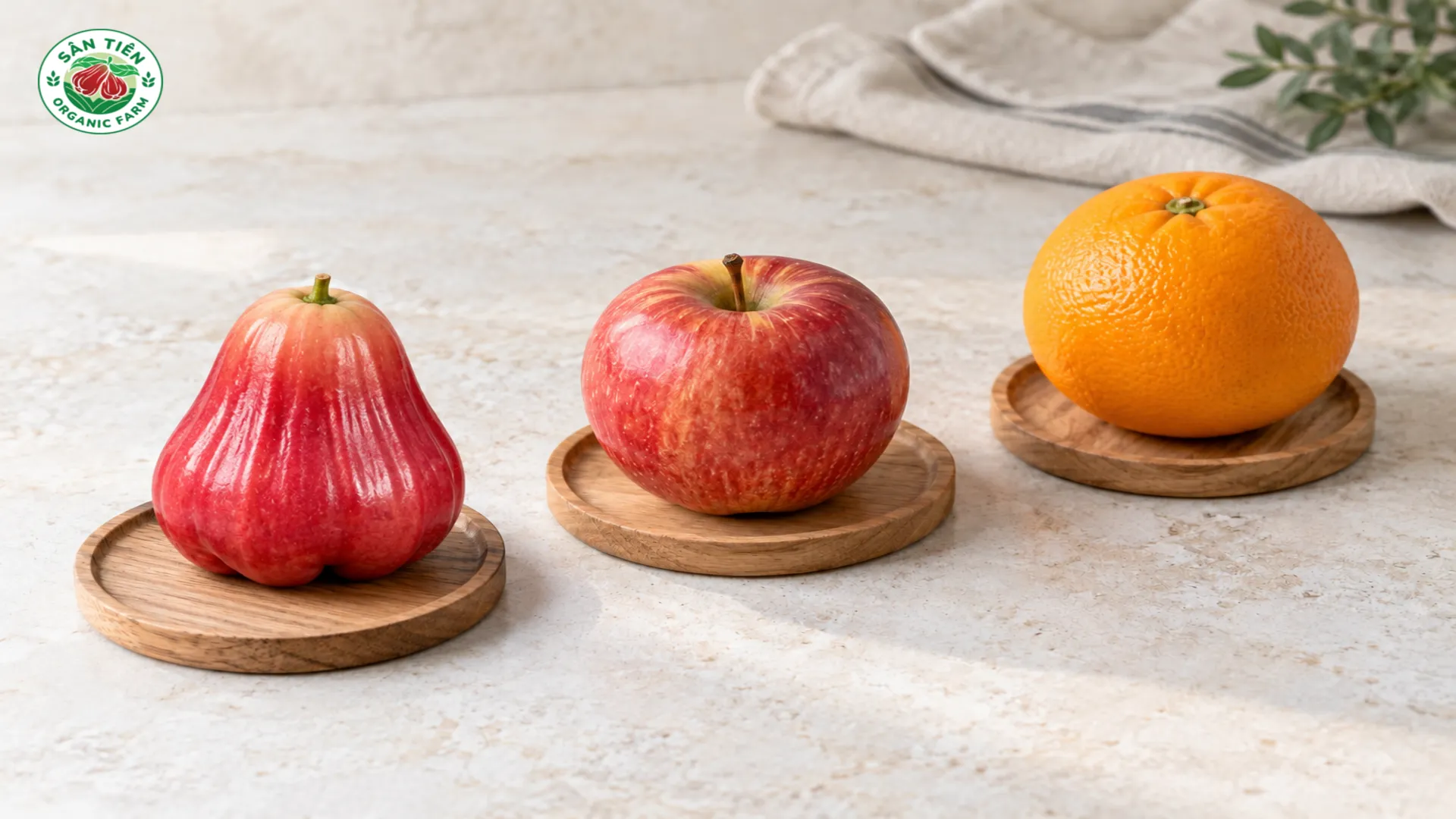 Cam giàu vitamin C, mận nhỉnh hơn táo về vitamin K; để dinh dưỡng cân bằng, gia đình nên ăn đa dạng các loại trái cây theo mùa với khẩu phần hợp lý. Cam giàu vitamin C, mận nhỉnh hơn táo về vitamin K; để dinh dưỡng cân bằng, gia đình nên ăn đa dạng các loại trái cây theo mùa với khẩu phần hợp lý.