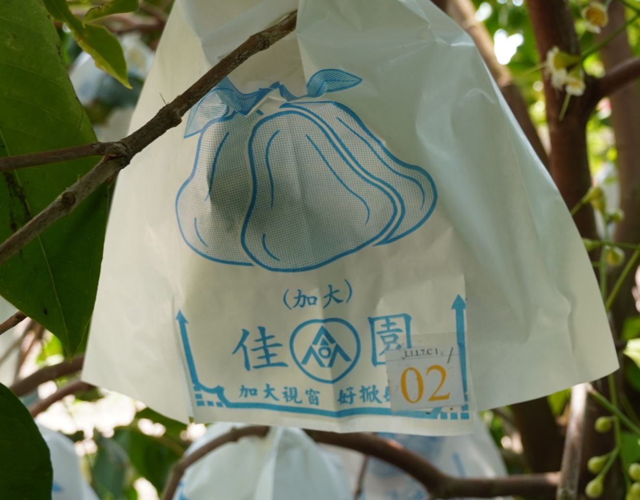 Bước 4