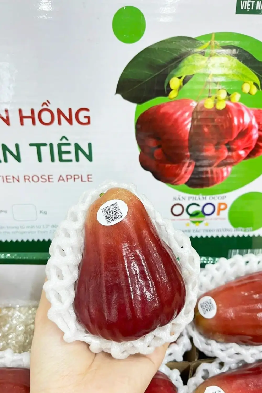 Hình ảnh thực tế Mận Hồng Sân Tiên