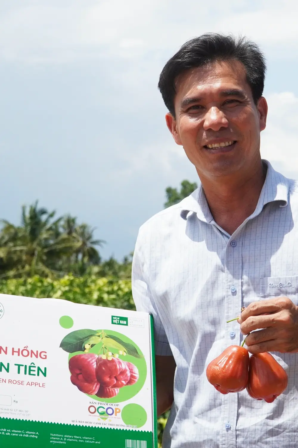 Hình ảnh thực tế Mận Hồng Sân Tiên