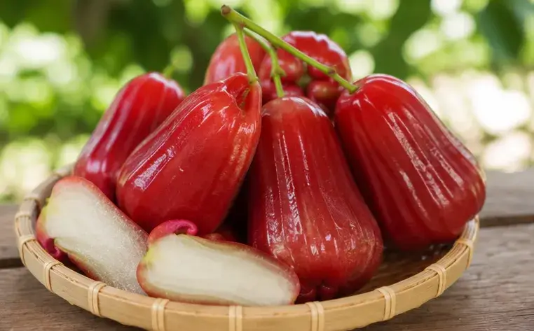 Kỹ Thuật Trồng Mận Sân Tiên Từ A Đến Z