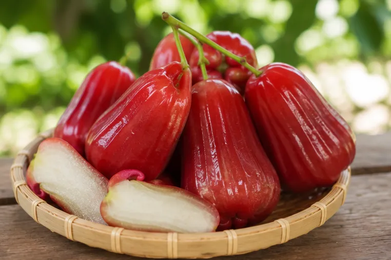Kỹ Thuật Trồng Mận Sân Tiên Từ A Đến Z