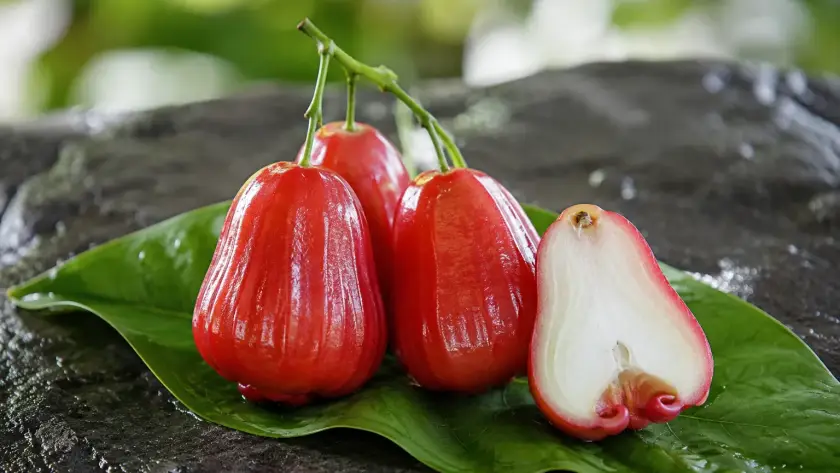 Mận Hồng Sân Tiên Bao Lâu Có Trái
