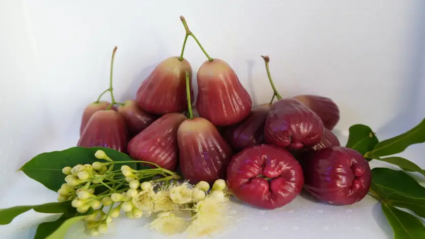 mận hồng sân tiên có ngon không