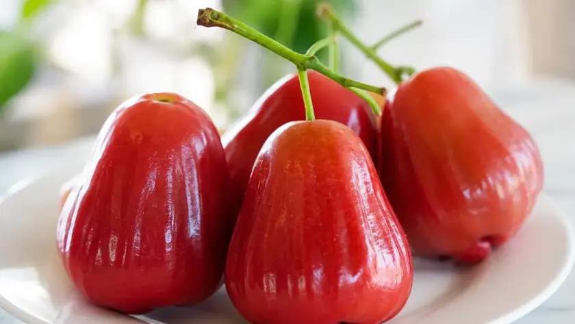 Mận Hồng Sân Tiên Có Tốt Không? Đánh Giá Chi Tiết