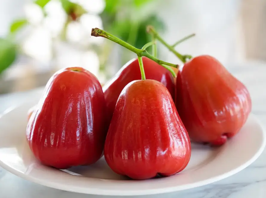 Mận Hồng Sân Tiên Có Tốt Không? Đánh Giá Chi Tiết