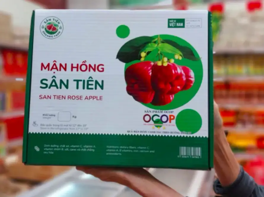mận sân tiên có chua không