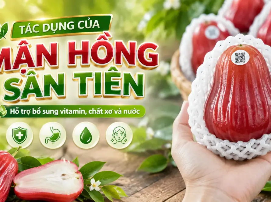 tác dụng của mận hồng sân tiên