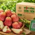 Mận Hồng Sân Tiên Bao Nhiêu Calo Và Cách Ăn Hợp Lý
