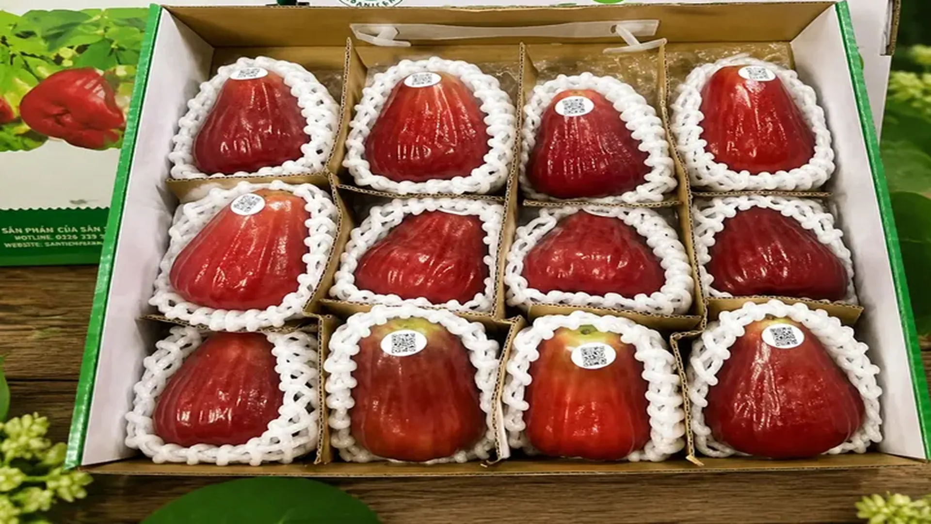 mận sân tiên đóng hộp quà sang